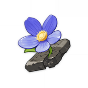 Tiny Miracle's Flower