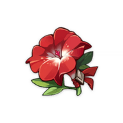 Flor Vermelha de Artista Marcial