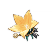 Instructor's Brooch