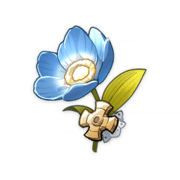 Traveling Doctor's Silver Lotus