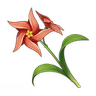 Windwheel Aster
