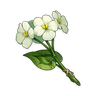Qingxin