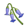 Violetgrass