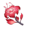 Dendrobium