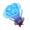 Sea Ganoderma
