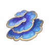 Rukkhashava Mushrooms