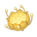 Nilotpala Lotus