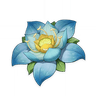 Kalpalata Lotus