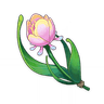 Rainbow Rose